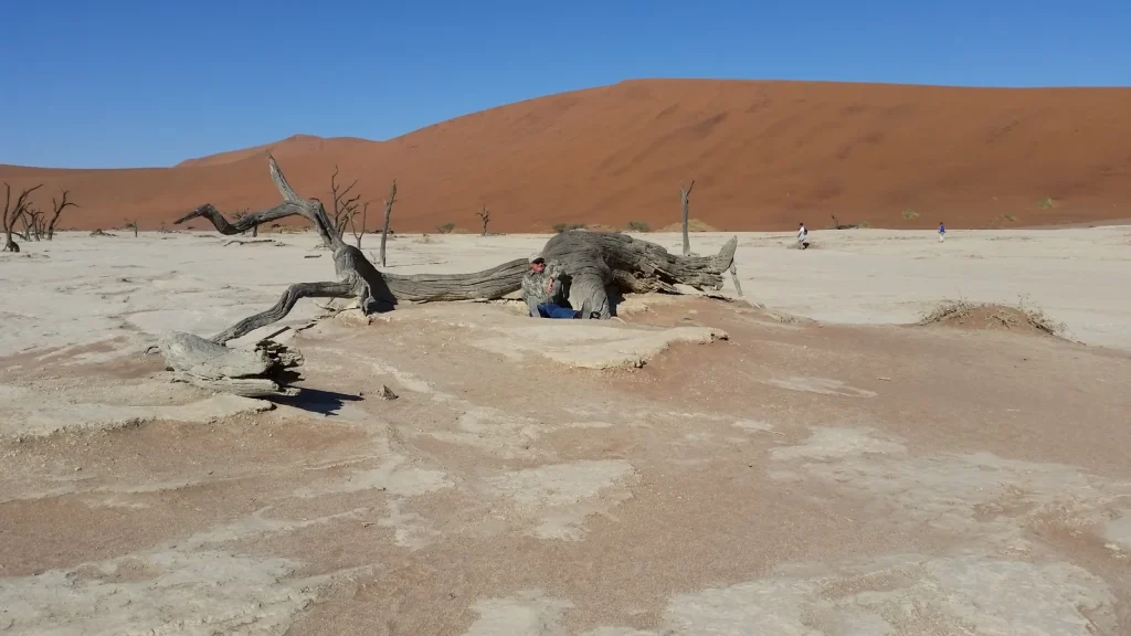 Pale ground and dead wood in Deadvlei below surrounding dunes