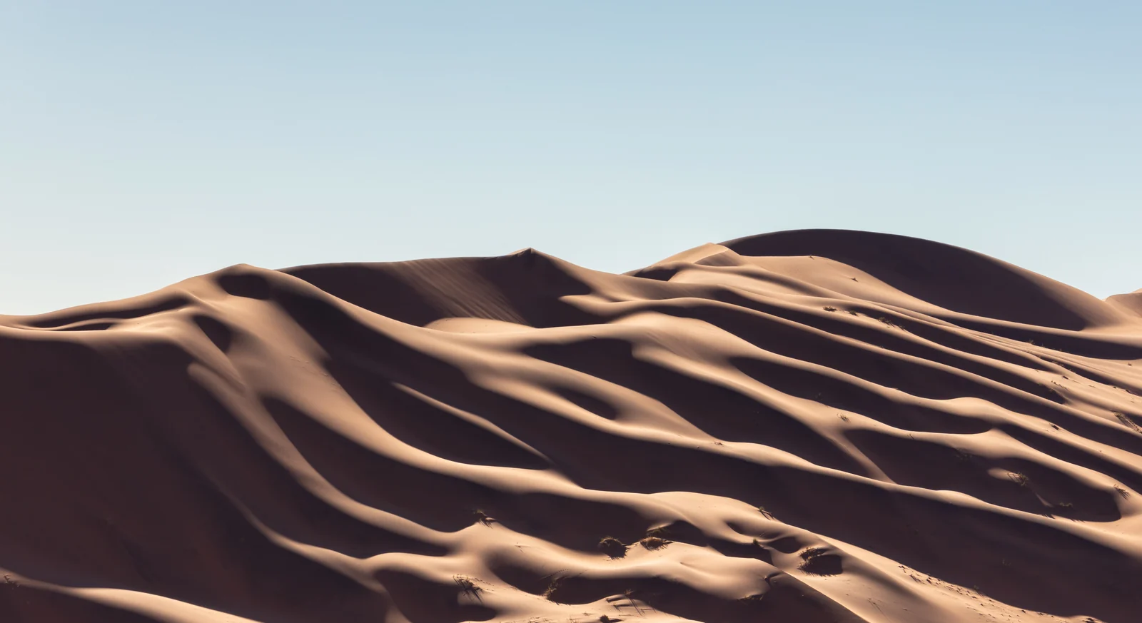 Layered dunes and their shadows in the Sossusvlei area