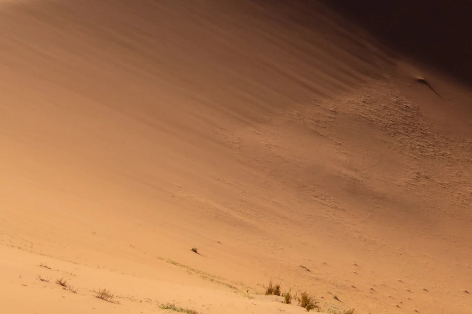 Fine sand surface detail in the Sossusvlei area